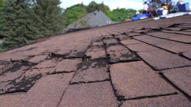 Best Chimney Flashing Repair  in Catawba, SC