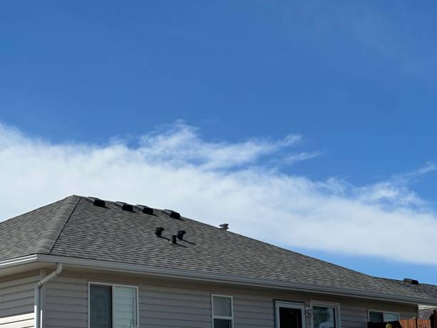 Best Cold Roofs  in Catawba, SC